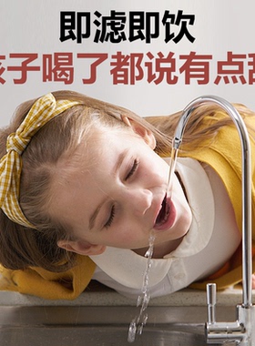 刘师傅纯水洗膜净水器零陈水净水器0阻垢剂通用滤芯反渗透净水机
