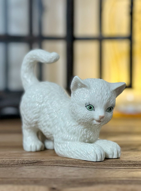 猫咪彩球猫宝宝玩耍创意场景