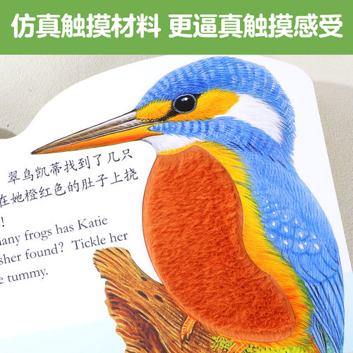 触摸书幼儿早教宝宝绘本0-3岁蒙氏婴儿乐乐趣亮丽精美小兔比利熊波比点读中英双语儿童大地板触感启蒙洞洞益智玩具认知机关推拉1-2 - 图0