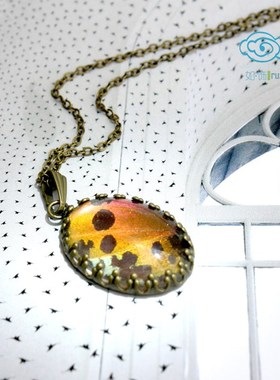 蝴蝶翅膀标本复古原创吊坠项链