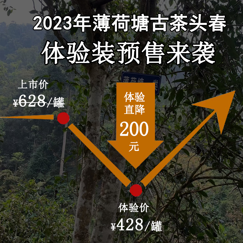 趣普茶叶2023年薄荷塘古茶春茶散茶头春纯料普洱生茶罐装66g预售