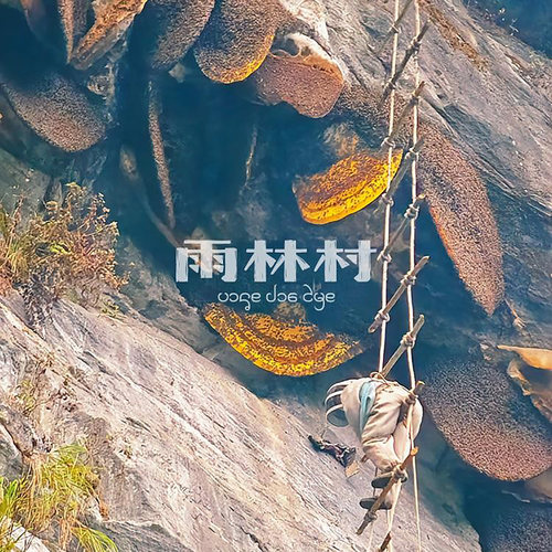 云南崖蜜野生岩蜂蜜深山悬崖纯正天然百花蜜土蜂蜜 喜马拉雅排蜂 - 图0