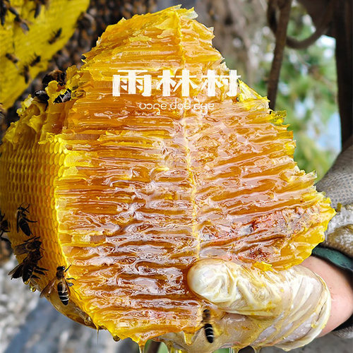 云南崖蜜野生岩蜂蜜深山悬崖纯正天然百花蜜土蜂蜜 喜马拉雅排蜂 - 图2