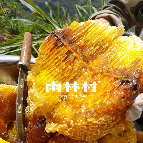 云南崖蜜野生岩蜂蜜深山悬崖纯正天然百花蜜土蜂蜜 喜马拉雅排蜂 - 图3
