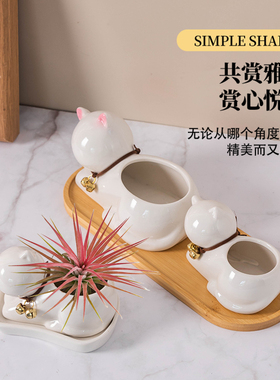 陶瓷花盆摆件简约可爱动物花盆空气凤梨创意个性桌面盆栽迷你花盆