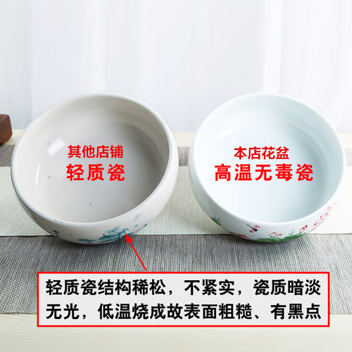 铜钱草花盆水仙盆睡莲碗莲无孔金钱陶瓷清仓水养水培专用多肉大号 - 图2