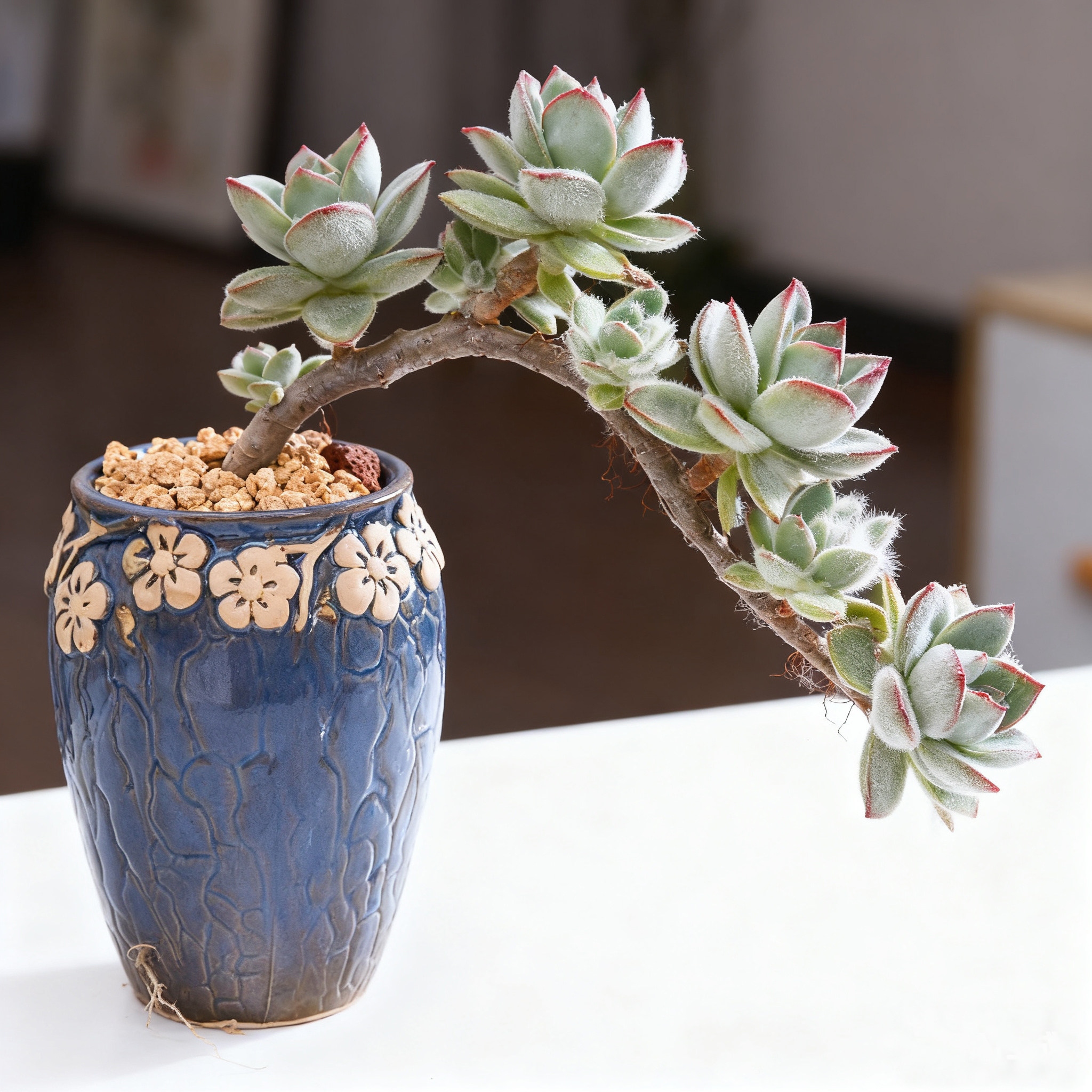 创意多肉专用花盆新款陶瓷特价清仓简约老桩盆粗陶透气陶罐子高款,淘宝优惠券,粉丝福利购,淘宝优惠卷