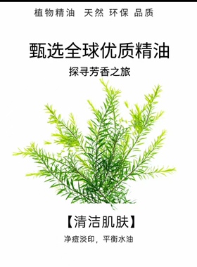 澳洲茶树精油天热祛痘控油清洁肌肤单方精油茶树精油清新空气