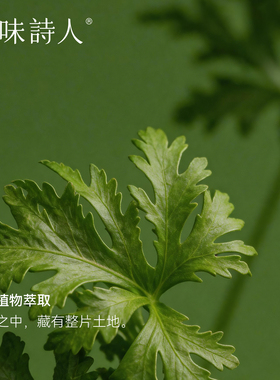 气味诗人经典香氛蜡烛多香型