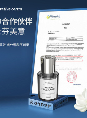 淡香氛无火香薰液家居摆件跨境代发除异味160ML银色魅族车载香水
