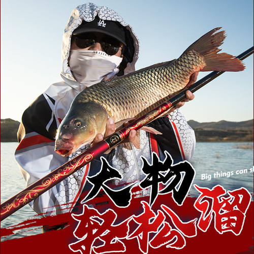 正品达瓦狼牙高碳素钓鱼竿手竿超轻超硬6h19调8H大物鲢鳙竿台钓竿 - 图2
