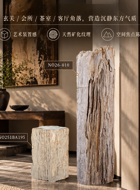树化石天然原石落地摆件 侘寂风新中式玄关庭院观赏收藏摆件