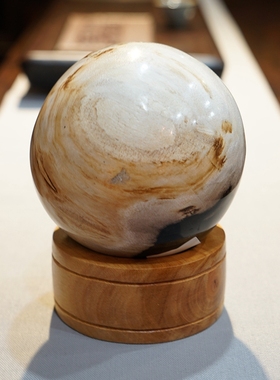 玄关圆球转运摆件木化石