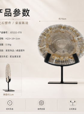 天然木化石原石切片新中式侘寂客厅玄关酒柜高端设计师艺术摆件