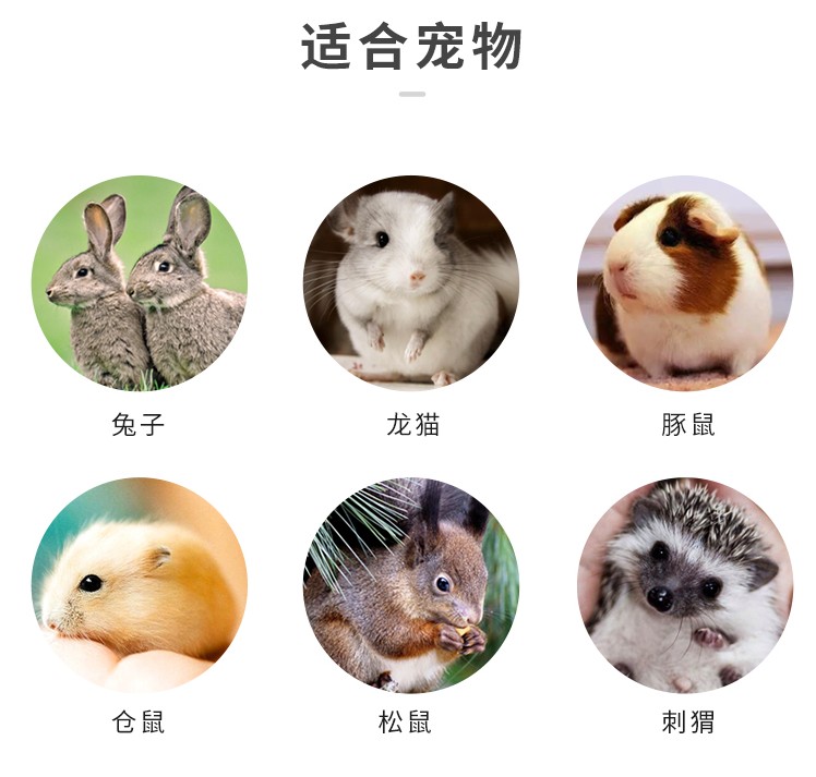 兔子饮水器刺猬龙猫滚珠仓鼠饮水壶荷兰猪豚鼠兔子用品防漏喂水器 - 图0