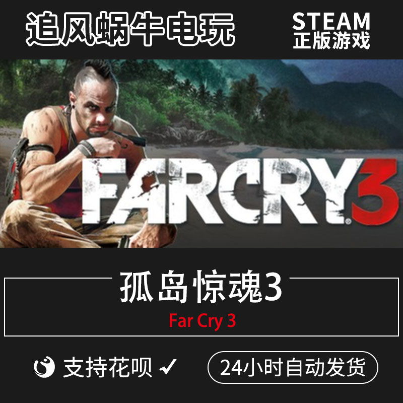 PC正版 Steam 国区 孤岛惊魂3 Far Cry 3 礼物 - 图3