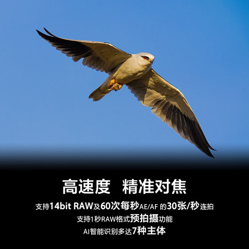 【新品6期免息】Sony/索尼 Alpha7 V A7M5 新基准全画幅微单相机 - 图1