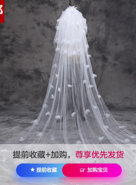 韩式新娘主婚纱头纱3米花瓣珍珠
