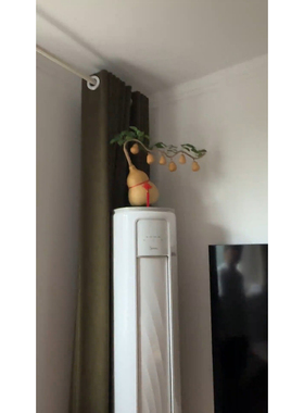 天然葫芦发财树一根葫芦藤上七个葫芦娃摆件客厅卧室装饰网红文玩