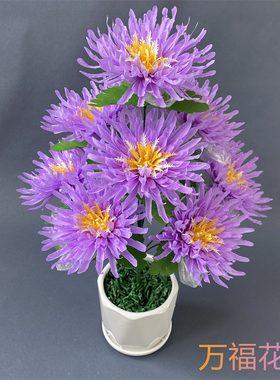 万福花业菊花厂家直供
