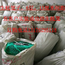 Raw Oyster Cage Breeding Cage 6 layers to raise quality raw oysters a large taste and large offer