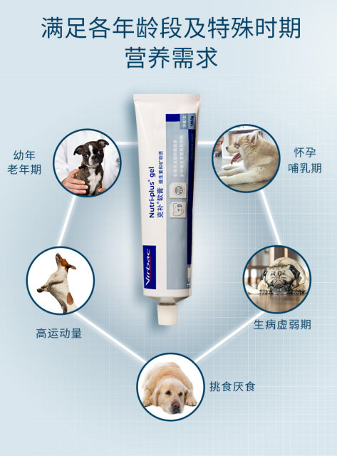 Nutritional cream for cats and dogs supplements