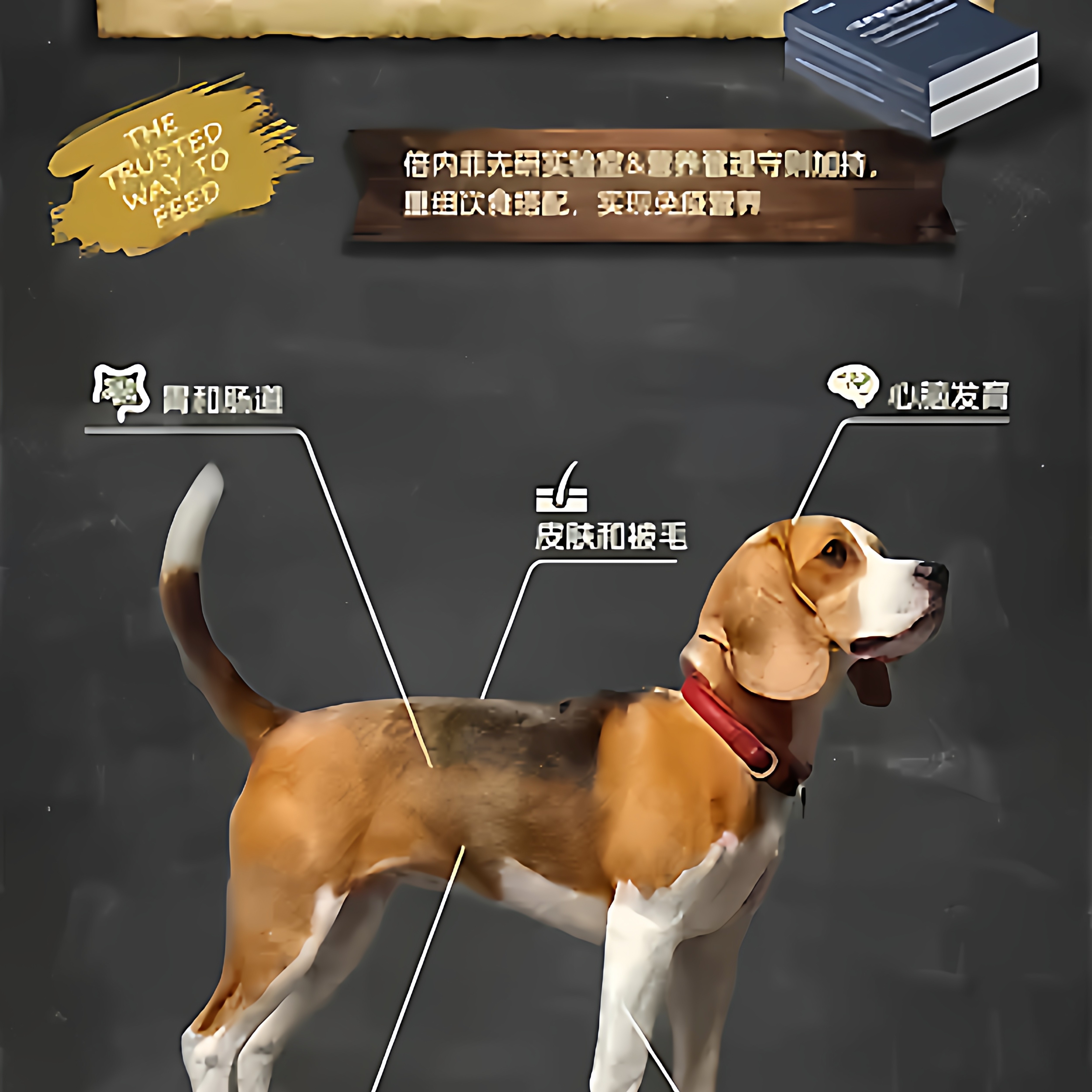 倍内菲狗粮低温烘焙系列鸭肉梨鸡肉冻干生骨成犬幼犬粮全阶段通用,淘宝优惠券,粉丝福利购,淘宝优惠卷