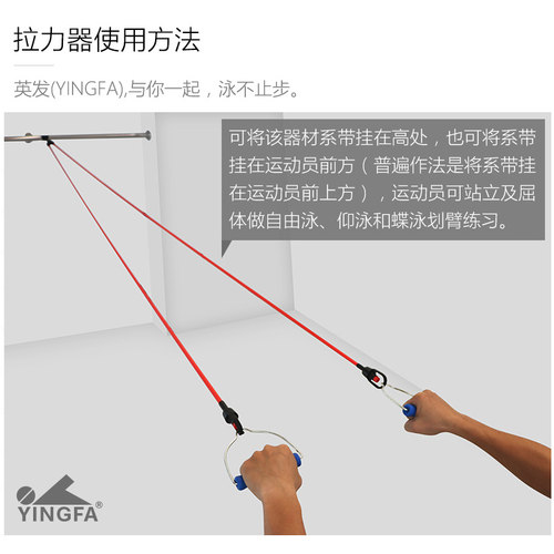 英发拉力绳运动员陆上练习划水力量用练习用 拉力绳 - 图2