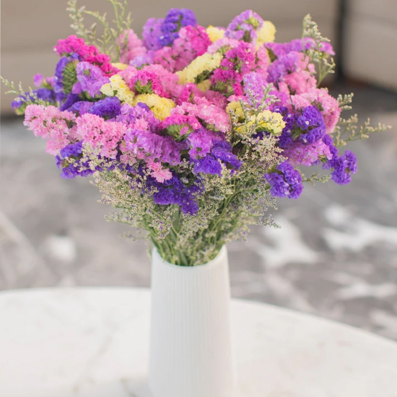 【送花瓶】云南基地勿忘我半干花真花风干花鲜艳客厅装饰摆件插画,淘宝优惠券,粉丝福利购,淘宝优惠卷