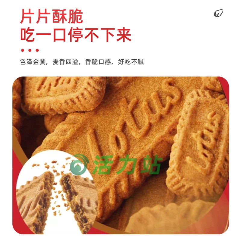 美国直邮 LOTUS和情缤咖时焦糖饼干 BISCOFF比利时咖啡曲奇 1000g - 图1