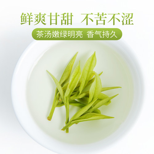 现货2026年新茶安吉白茶芳羽特级罐装250g绿茶高山春茶叶自己喝 - 图1