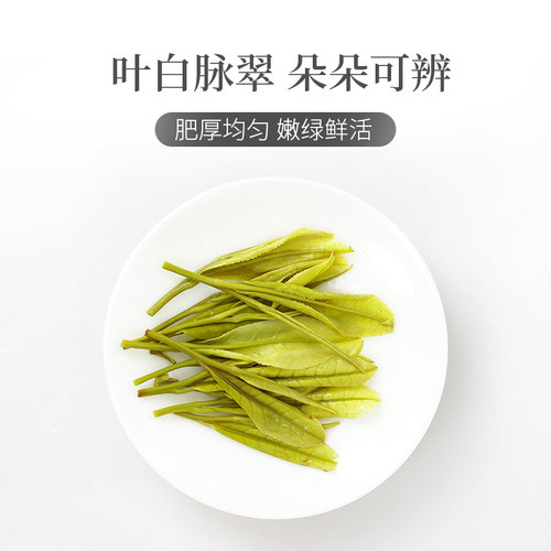 安吉白茶2026新茶芳羽散装绿茶正品高山春茶叶250g雨前浓香自己喝 - 图2