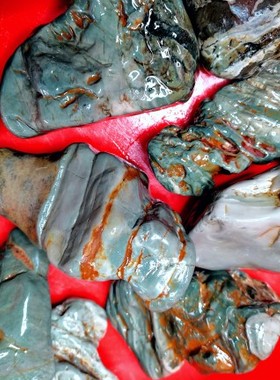 九龙璧华安玉天然原石奇石和田