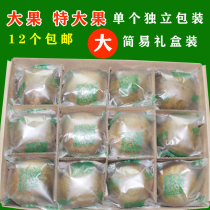 Guangxi grosgros Guilin Yongfu special production of grosvenori tea grosvenori dried fruits Bulk Big fruit Independent dress