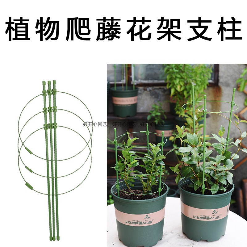 固定花架支柱推荐品牌 新人首单立减十元 21年6月 淘宝海外 固定花架支柱推荐品牌 新人首单立减十元 21年6月 淘宝海外