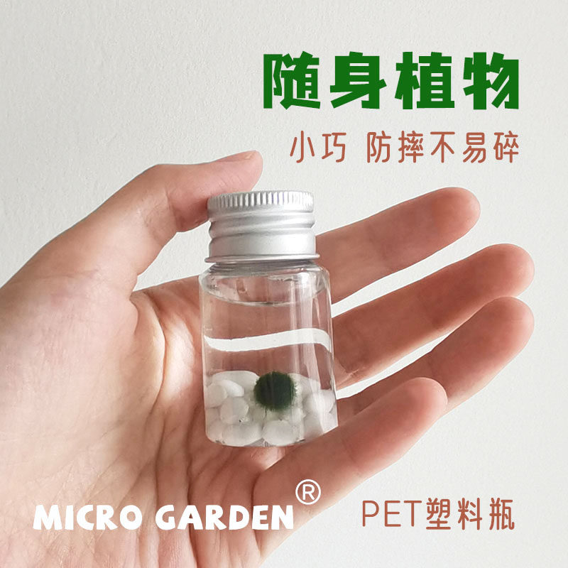 海藻球随身瓶小植物桌面宠物口袋迷你生态瓶趣味礼物diy 新手推荐,淘宝优惠券,粉丝福利购,淘宝优惠卷