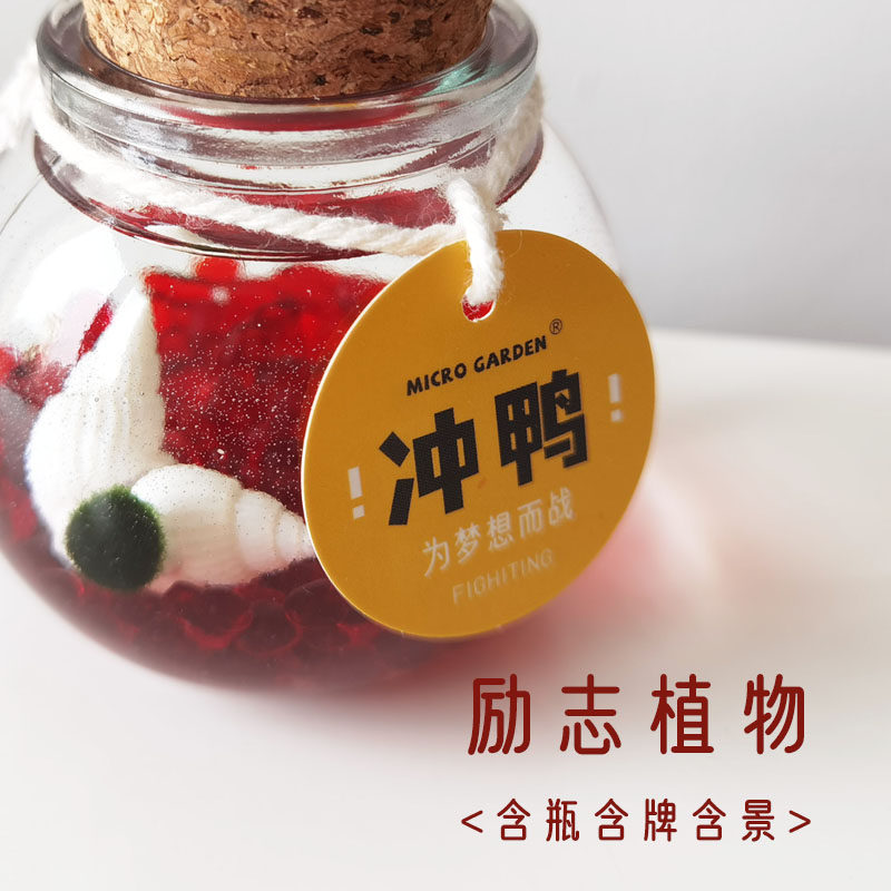 掌心花园海藻球生态瓶桌面小宠物marimo水草植物不一样的生日礼物,淘宝优惠券,粉丝福利购,淘宝优惠卷