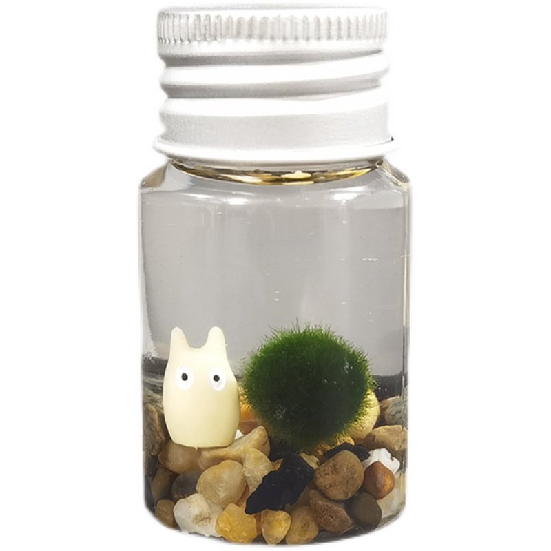 marimo海藻球植物随身瓶 迷你生态瓶趣味马里莫桌面宠物口袋精灵,淘宝优惠券,粉丝福利购,淘宝优惠卷