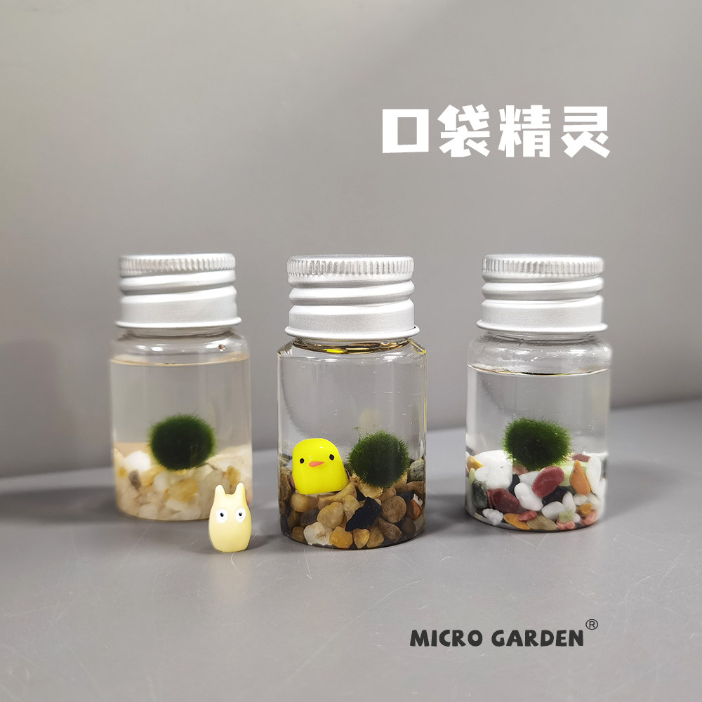 marimo海藻球植物随身瓶 迷你生态瓶趣味马里莫桌面宠物口袋精灵,淘宝优惠券,粉丝福利购,淘宝优惠卷
