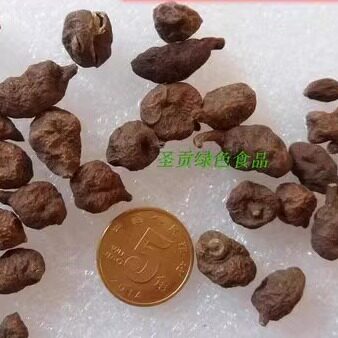 藏区高原人参果蕨麻非种植农家干货煮粥煲糖水炖肉烧肉500克包邮 - 图1