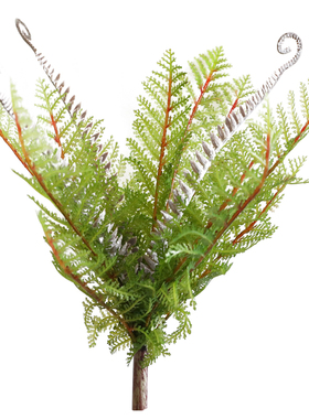 仿真蕨类植物墙壁挂户外绿植室内