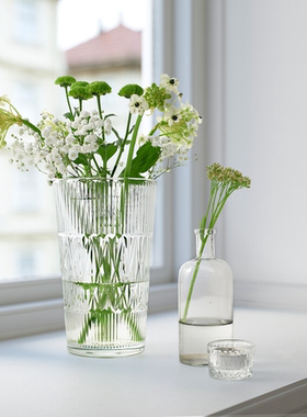 IKEA/宜家玻璃花瓶可做大水杯