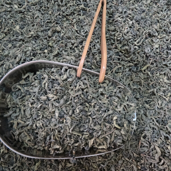 新茶茶叶绿茶 春绿茶 金萱茶叶500g浓香耐泡广东湛江迎贵茶厂正品 - 图2