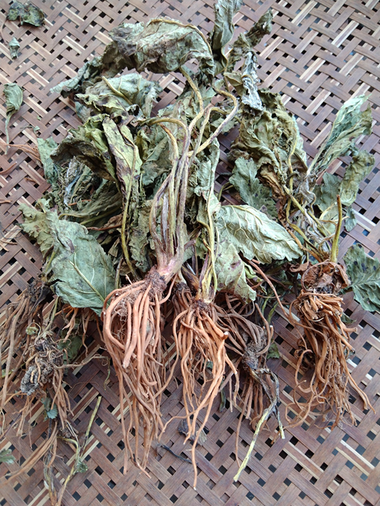 贵州野青菜中药材 天青地红中草药菊三七红青菜散装新晒无硫500克