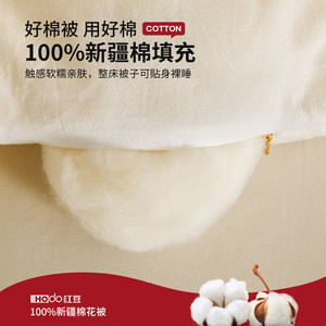 红豆冬被新疆棉花被芯加厚春秋冬棉絮被子纯棉子母被二合一棉被褥