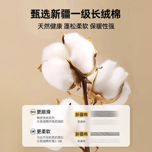 红豆新疆棉花床垫软垫家用卧室铺床褥垫子宿舍学生单人棉絮垫被褥