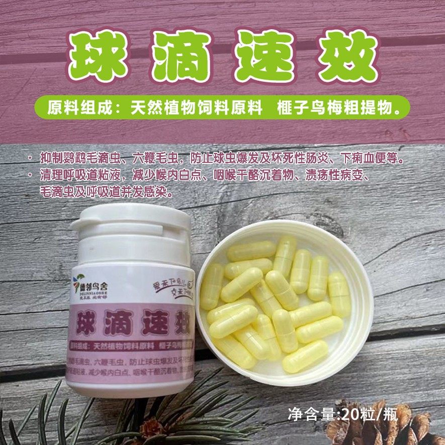 德邻鸟舍鹦鹉玉鸟应急储备套装拉稀流鼻涕炸毛嗉囊口黄闭眼呼气喘,淘宝优惠券,粉丝福利购,淘宝优惠卷