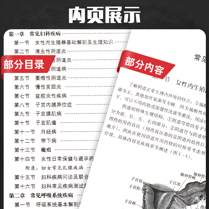 常见病中西医诊断及合理用药：药店专用版药店药师常见疾病联合用药用量指导提示速查速用须知营销基础训练手册症状鉴别诊断治疗书 - 图2