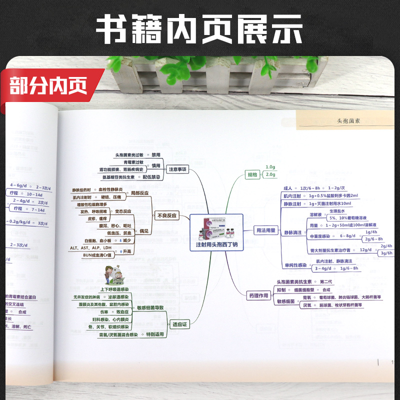 临床常用药品思维导图 护理临床用药参考书 瞿丽波等 临床医学 医学书籍 辽宁科学技术出版社 9787559112958 - 图2