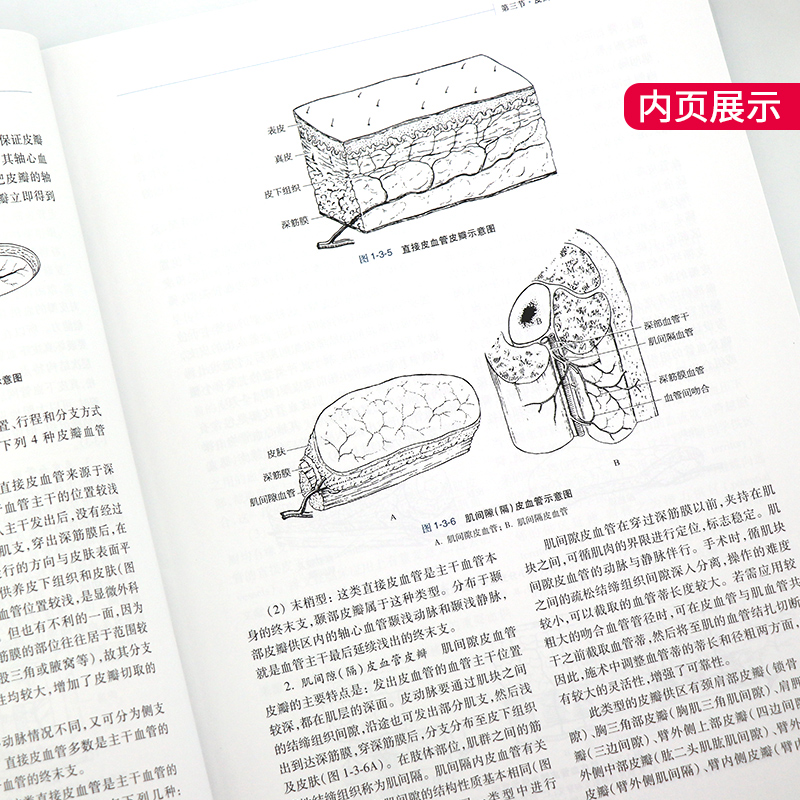 现货 皮瓣外科学 第3版第三版 侯春林 主编骨科整形外科矫形显微外科口腔颌面外科医师书籍上海科学技术出版社外科学9787547842997 - 图2